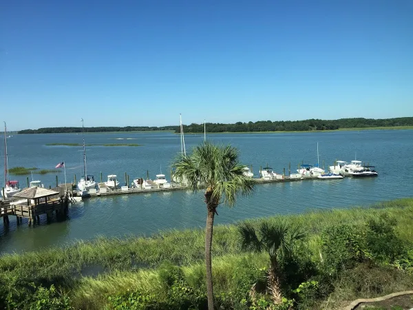 A marina on the Hilton Head waterfront with palm trees in the foreground