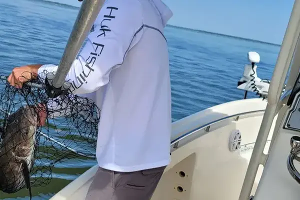 A fish coming over the side in a landing net on an HHI Hooked charter