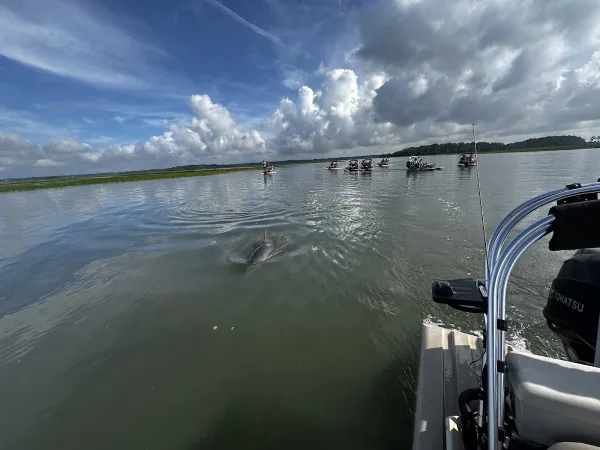 Boat Tours
