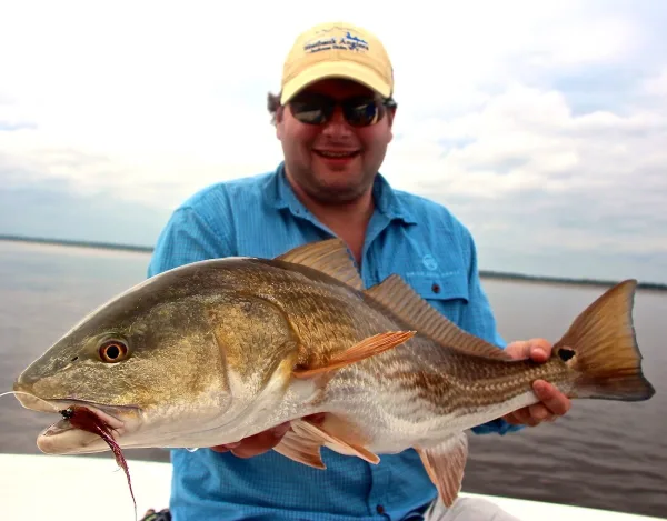 An angler holding a redfish on a LoCo Fly Charters trip