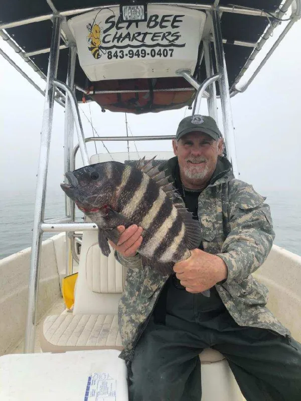 The Sea Bee Charters captain holding a sheepshead on the boat