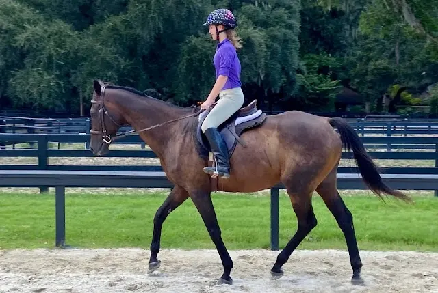 The riding ring at Moss Creek Equestrian Center