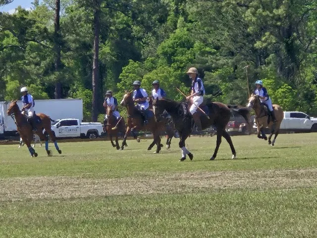 A grass field at Rose Hill Equestrian Center in Bluffton