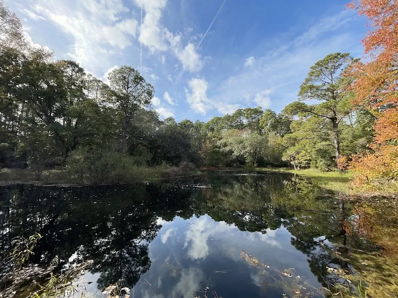 Audubon Newhall Preserve