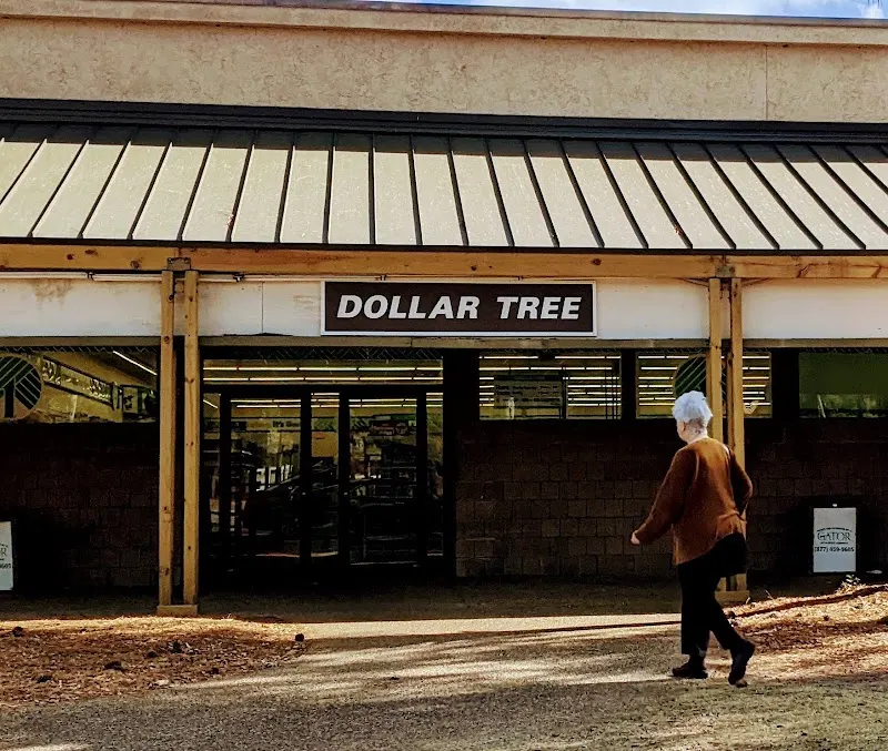 The Dollar Tree storefront in Northridge Plaza, Hilton Head Island