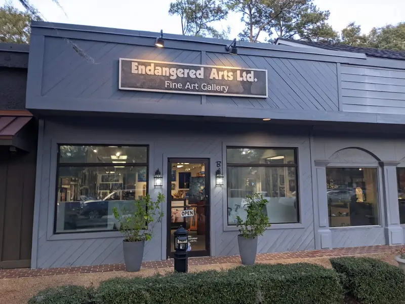 The grey storefront of Endangered Arts Ltd. Fine Art Gallery in South Island Square, its sign lit at dusk