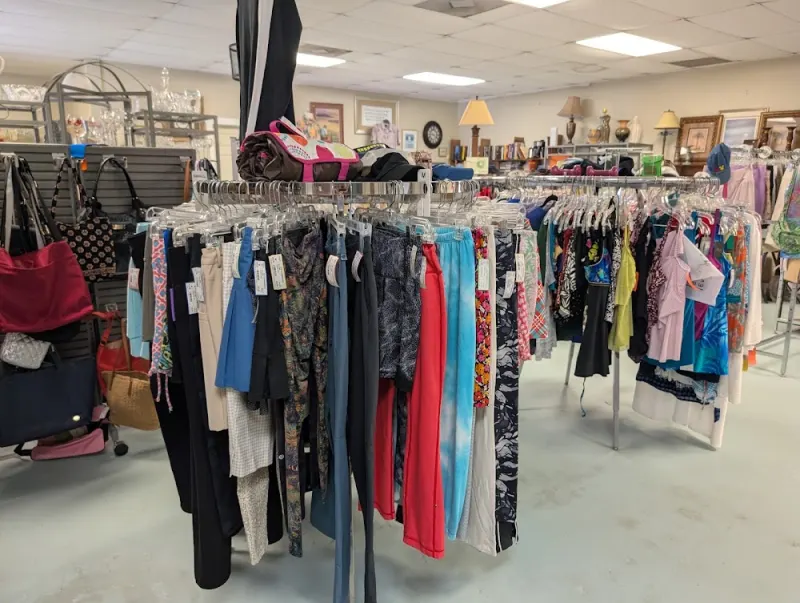 Koi Consignments