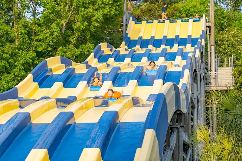 A blue and yellow multi-lane waterslide at Whirlin’ Waters Adventure Waterpark in North Charleston