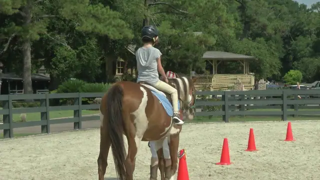 Ride at Lawton Stables