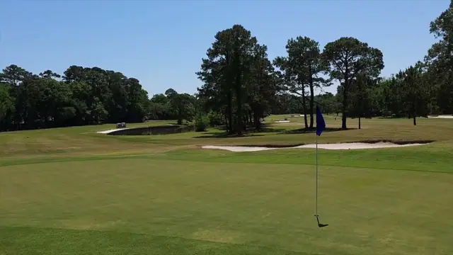 Video still of the golf course at Dolphin Head Golf Club