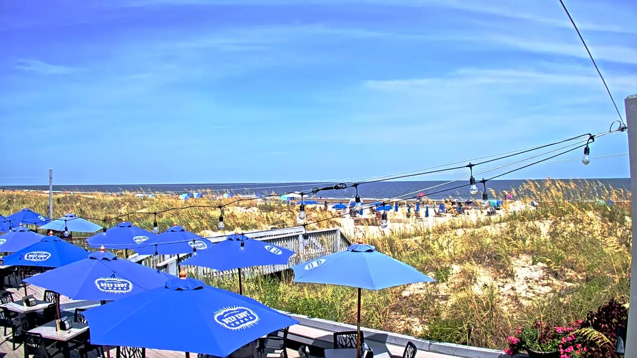 Palmetto Dunes – Dunes House Cam — Hilton Head Island